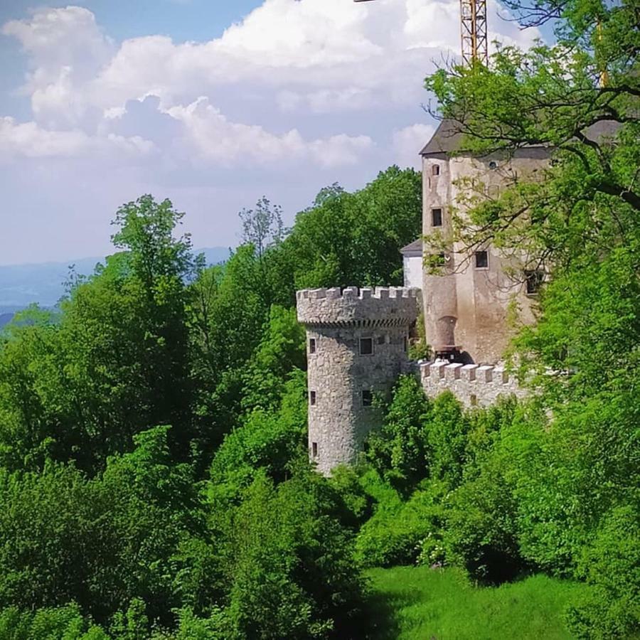 Burg Plankenstein Hotel Texing Eksteriør billede